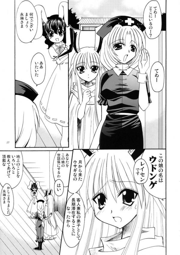 Touhou - Shiroi Usagi no Nagai Yoru (Doujinshi)